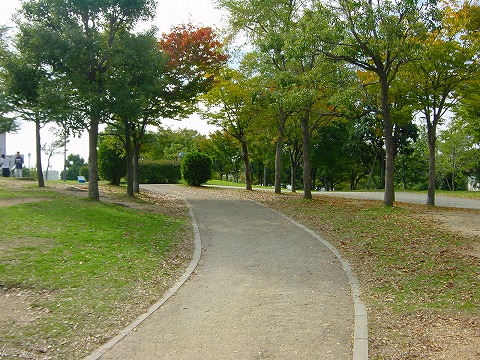 金岡公園の風景